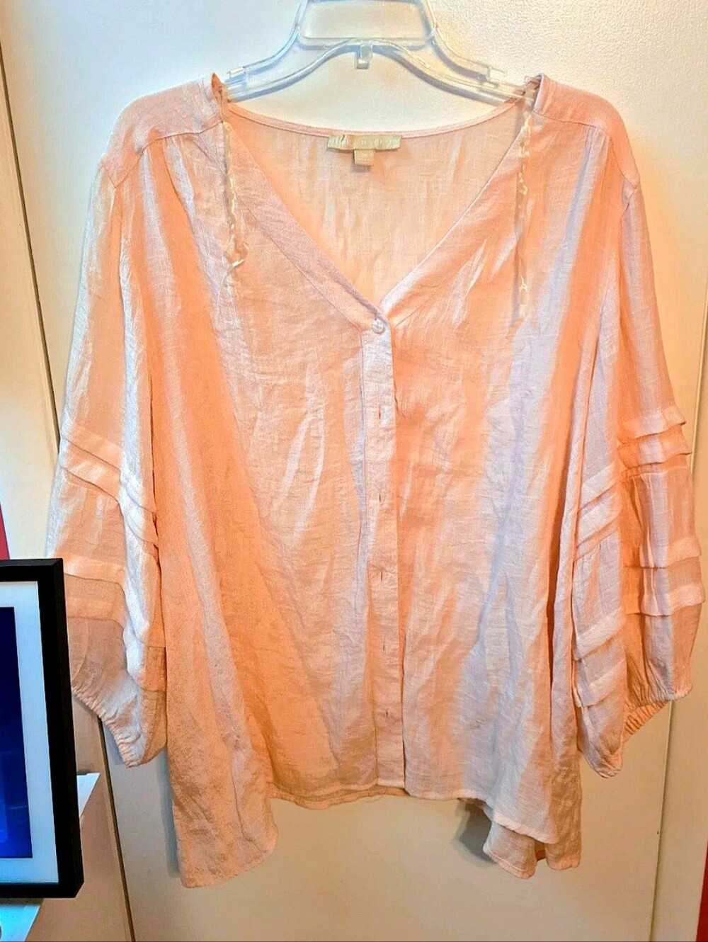 Hope & Harlow Woman Sheer Peach Top Size 2X